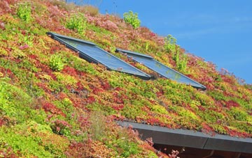 Dods Leigh living roof systems